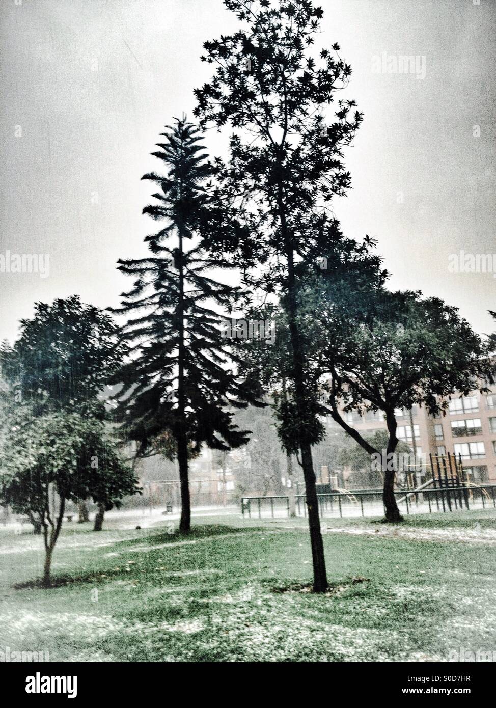 Suba, bogota, cundinamarca, Colombia, South america - Smartphone Captured Stock Image