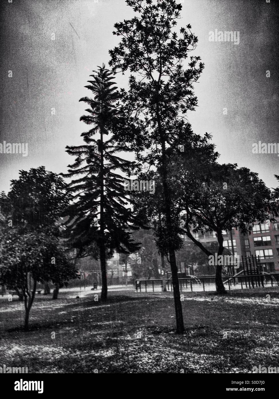 Suba, bogota, cundinamarca, Colombia, South america - Smartphone Captured Stock Image