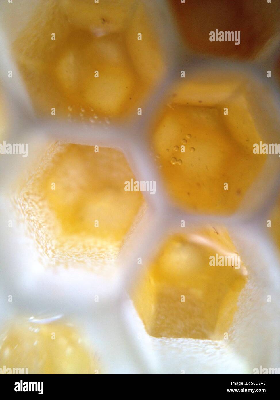 Honeycomb detail - Smartphone Captured Stock Image