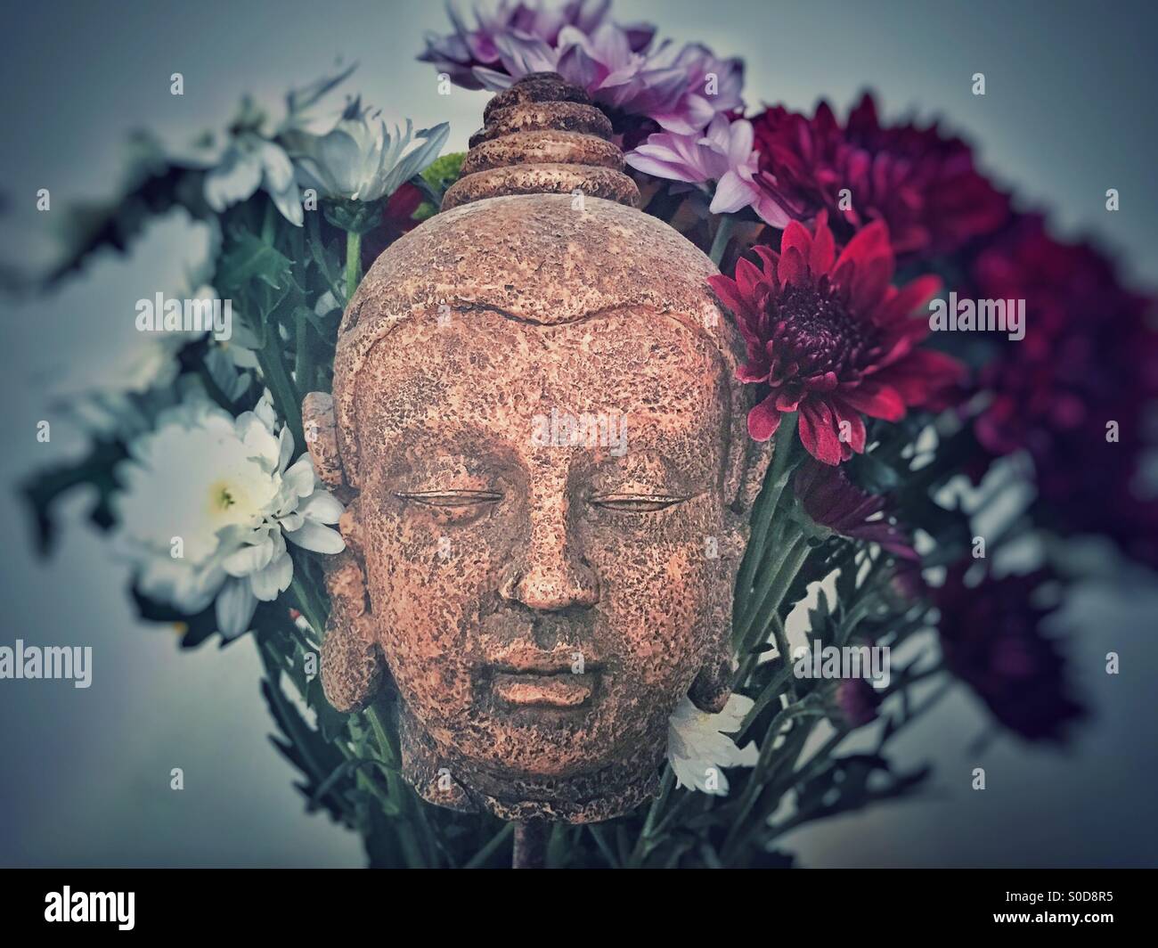 A buddha head surrounded by flowers Stock Photo Alamy