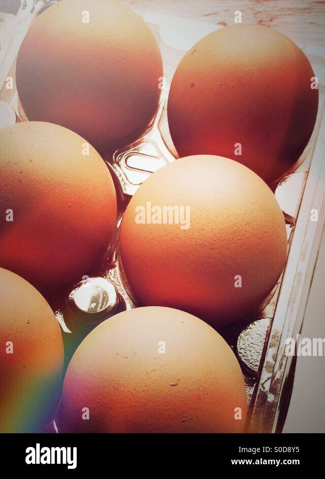 Fresh whole brown eggs in carton - Smartphone Captured Stock Image