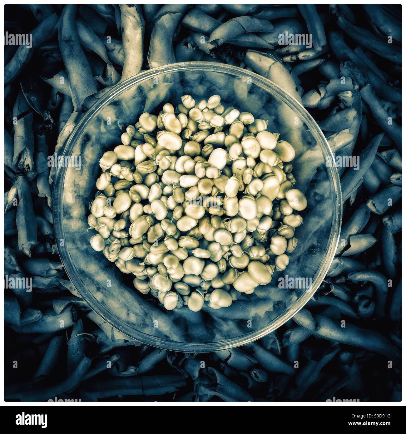 Lima beans on a bowl - Smartphone Captured Stock Image