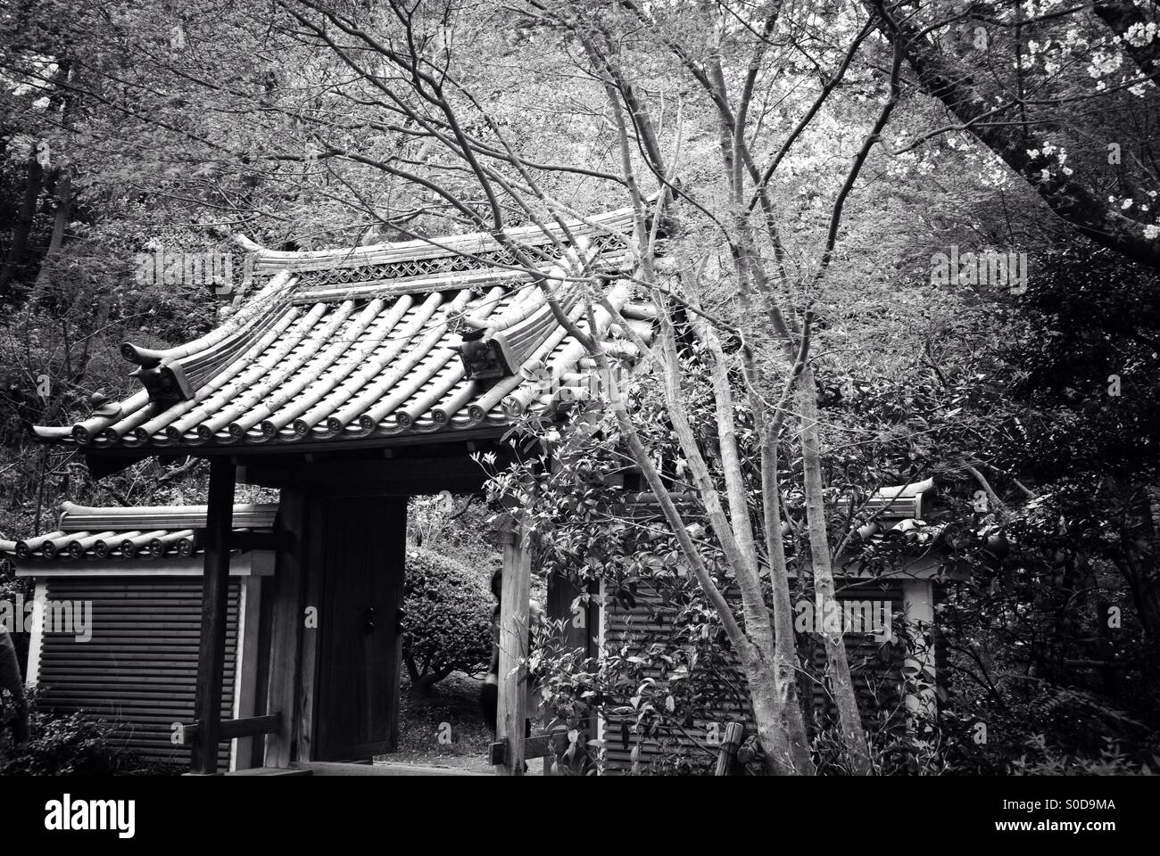 Japanese garden gate in black and white. Stock Photo