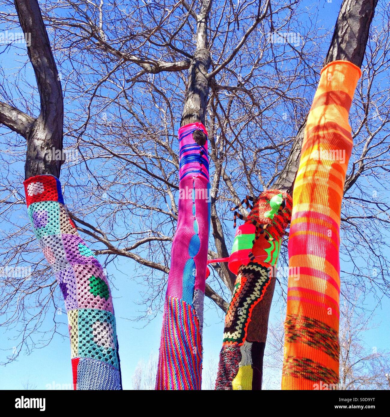 Hippie tree trunks - Smartphone Captured Stock Image