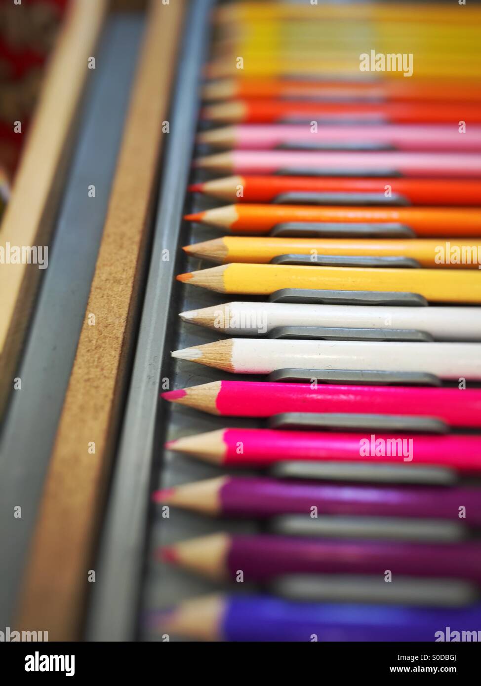 Pencil crayons multicolour Stock Photo