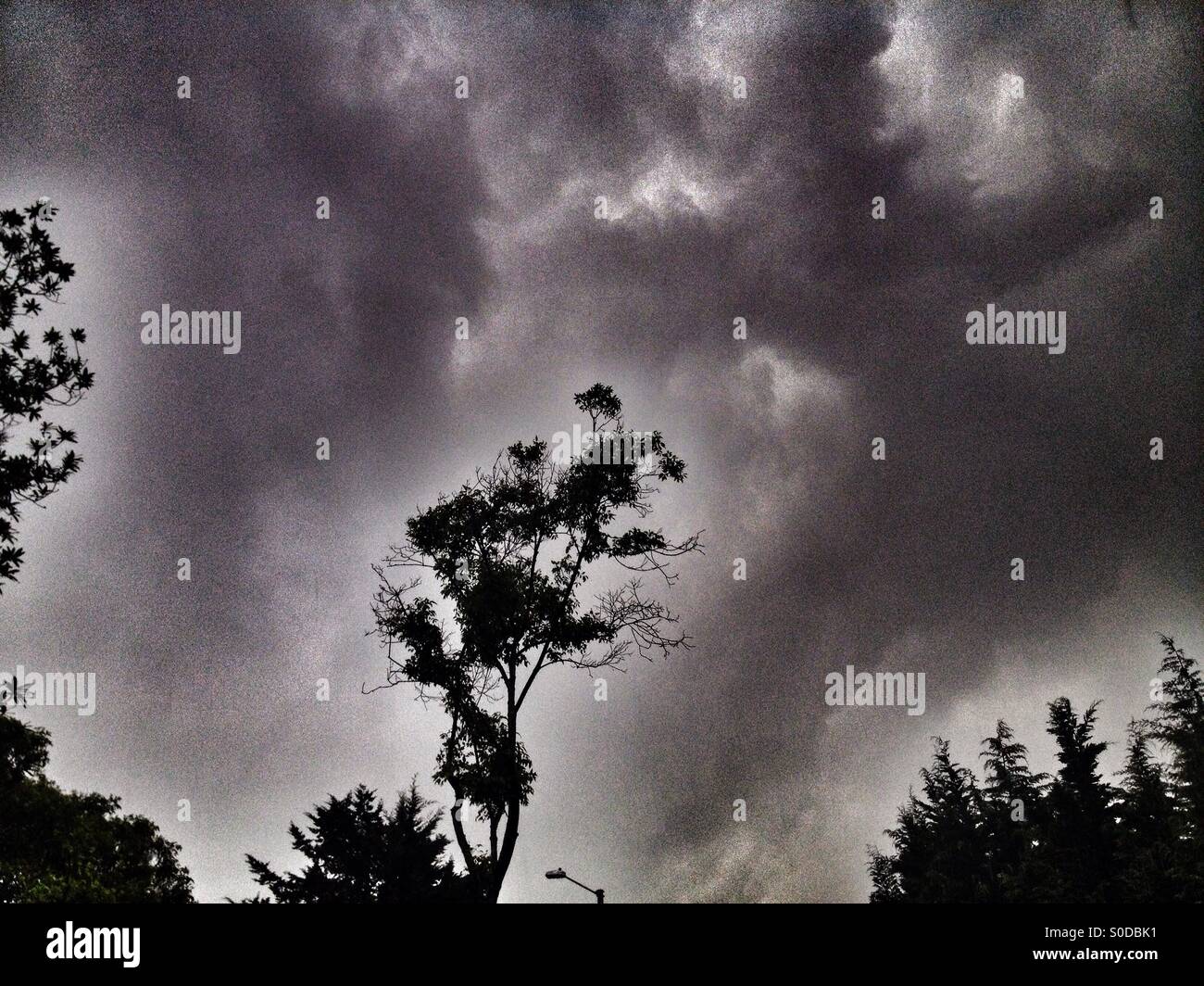 Suba, bogota, cundinamarca, Colombia, South america - Smartphone Captured Stock Image