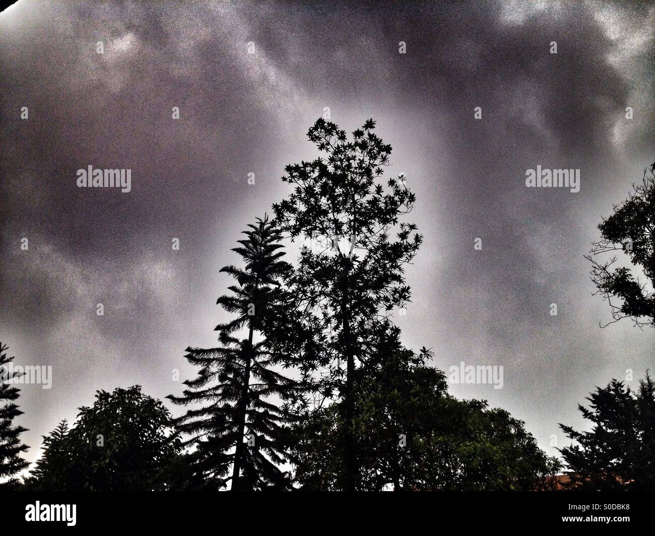 Suba, bogota, cundinamarca, Colombia, South america - Smartphone Captured Stock Image