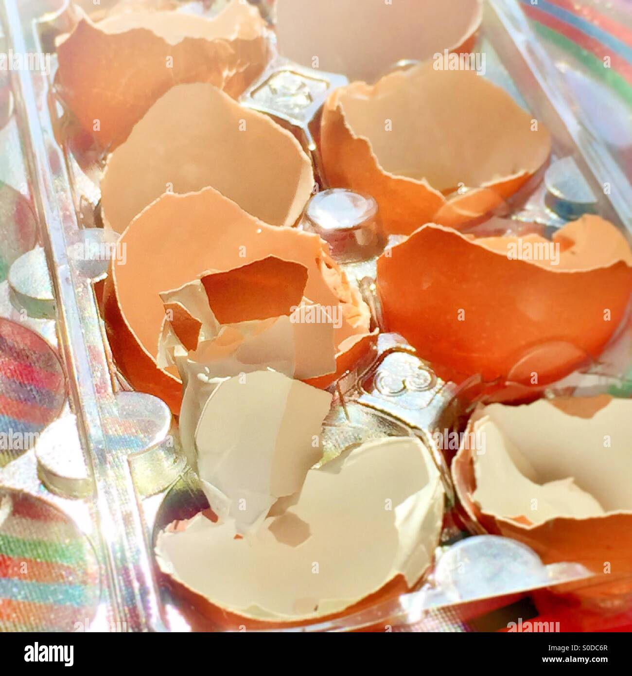 Eggshells - Smartphone Captured Stock Image