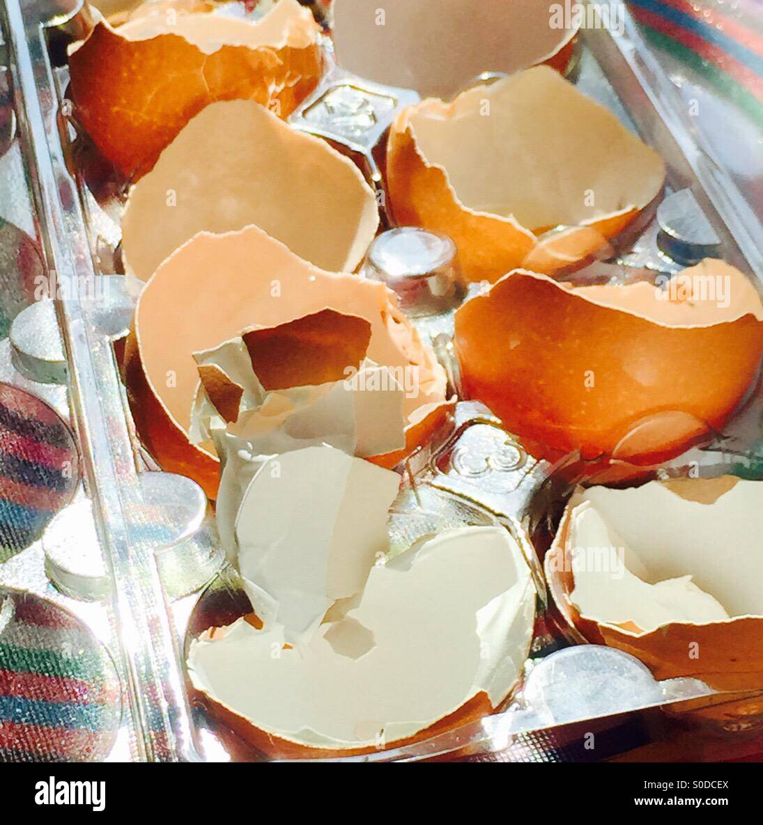 Eggshells - Smartphone Captured Stock Image
