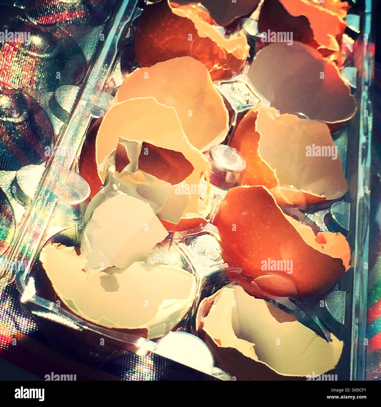 Eggshells - Smartphone Captured Stock Image