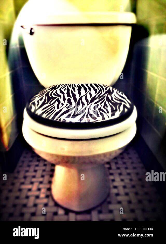 Toilet - Smartphone Captured Stock Image