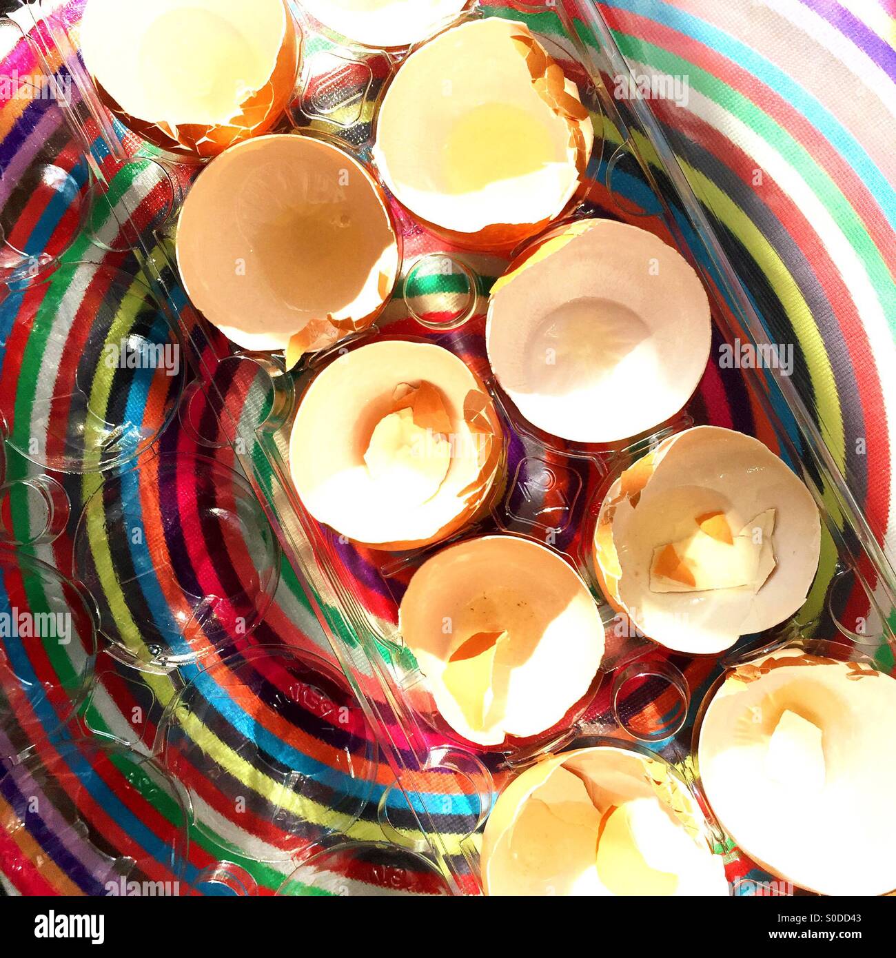 Eggshells - Smartphone Captured Stock Image