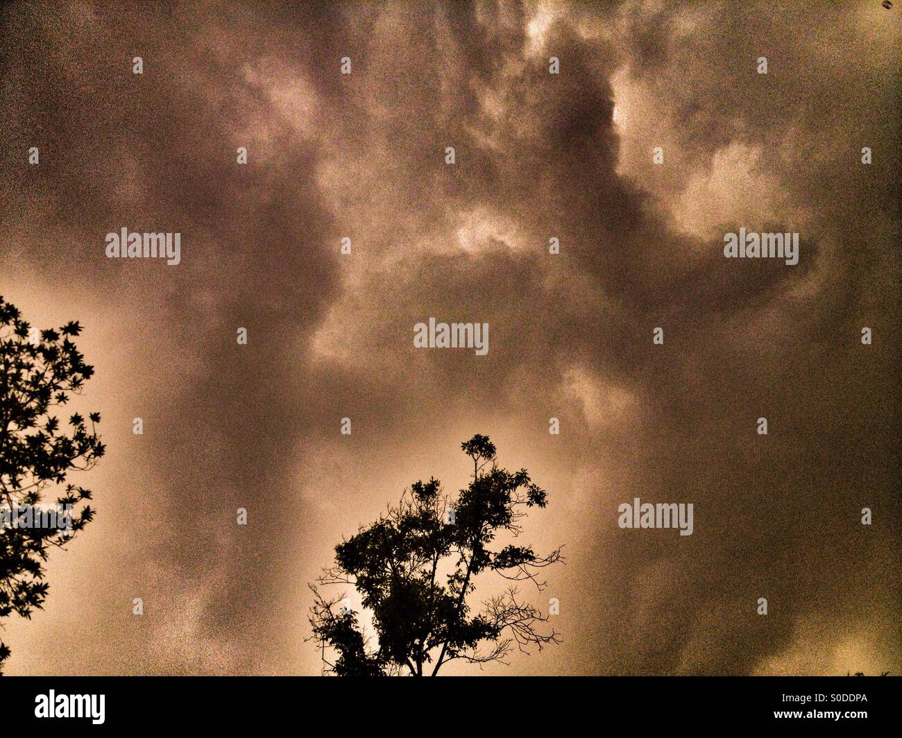 Suba, bogota, cundinamarca, Colombia, South america - Smartphone Captured Stock Image