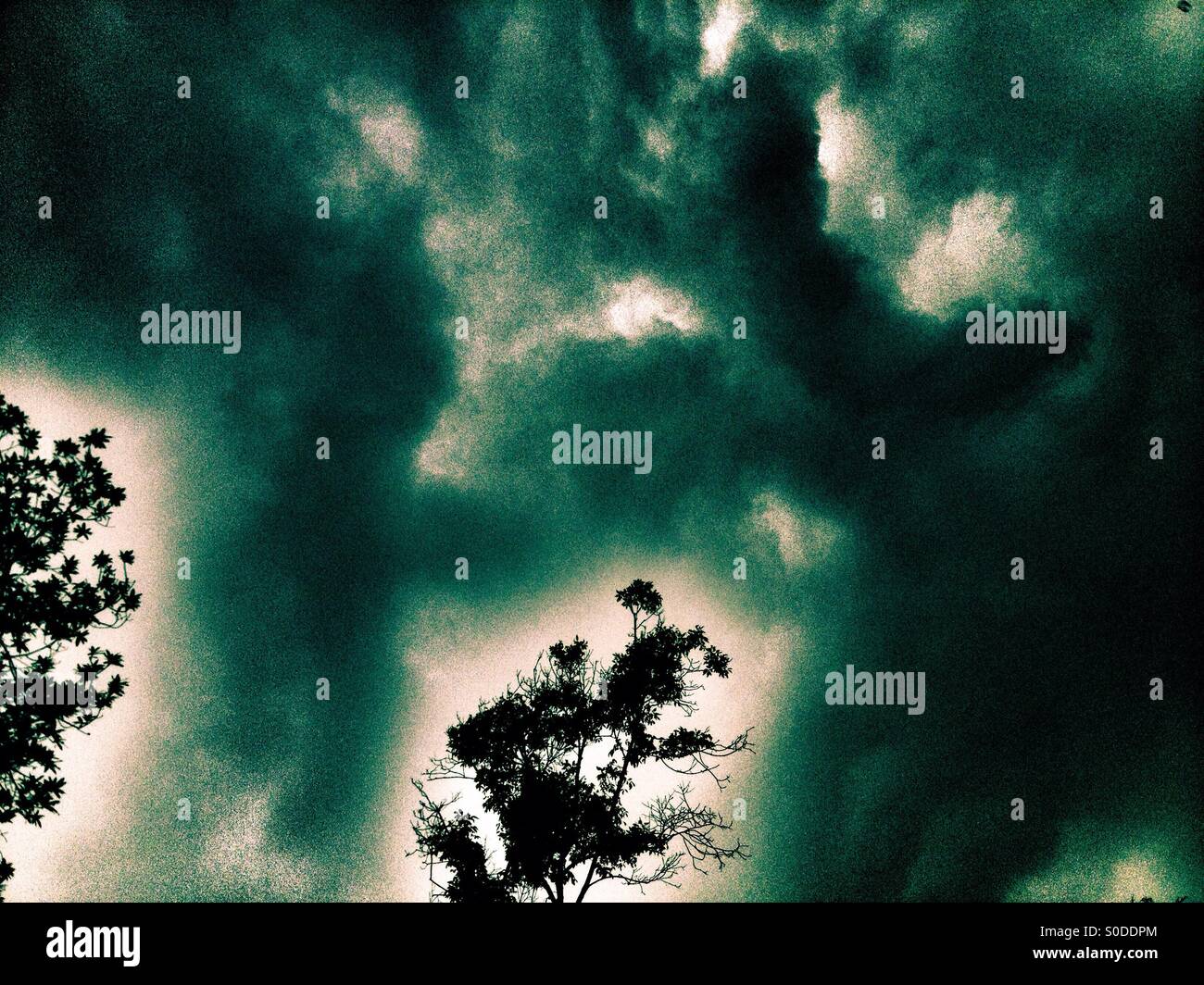 Suba, bogota, cundinamarca, Colombia, South america - Smartphone Captured Stock Image