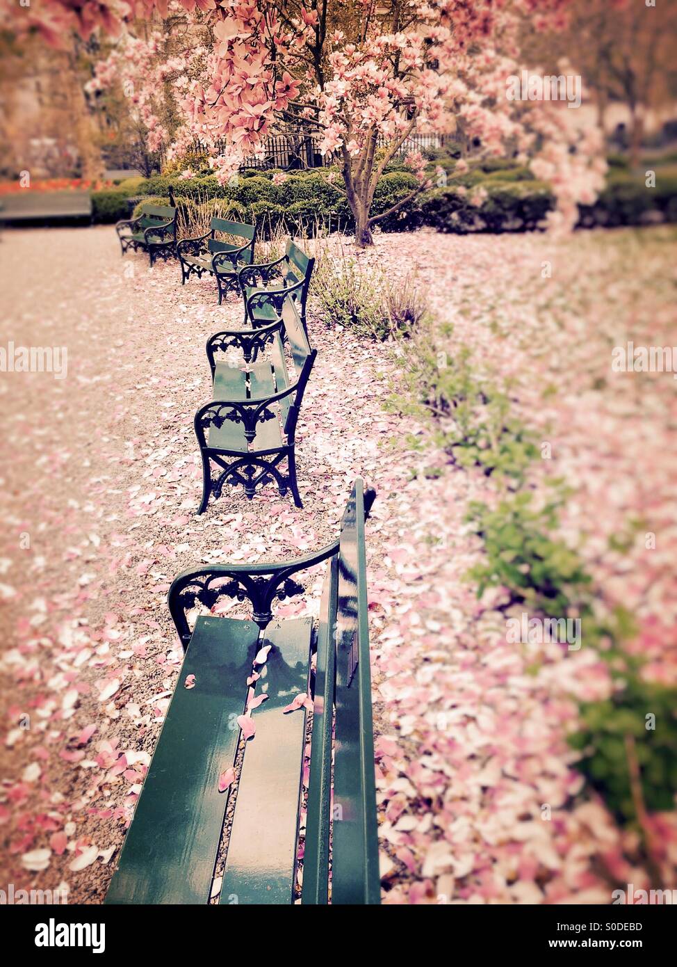 Gramercy Park, NYC - Smartphone Captured Stock Image