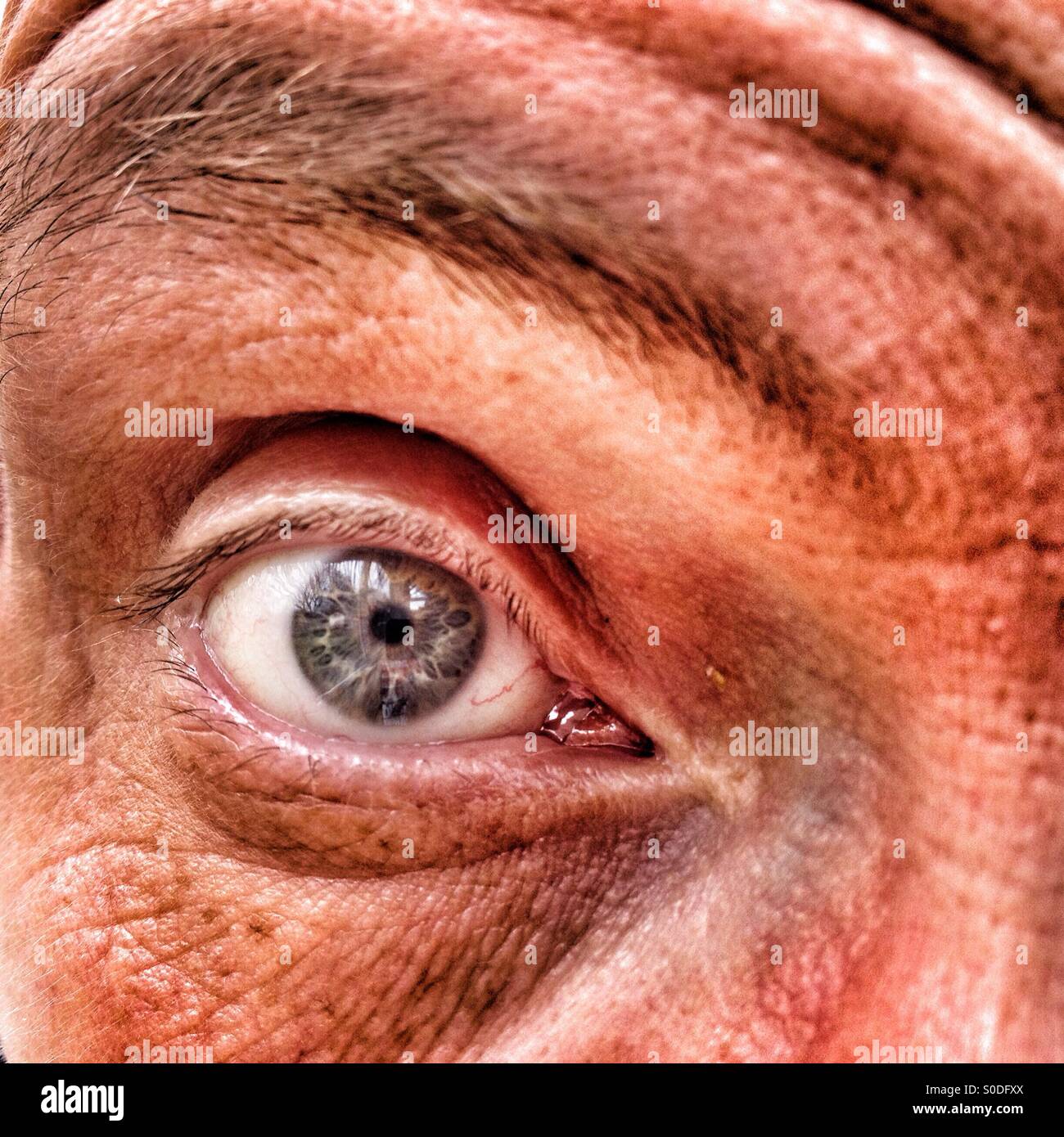 Close up of adult males eye Stock Photo