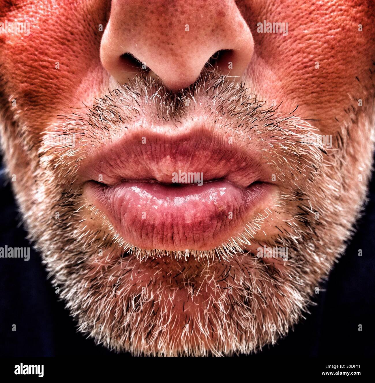 Adult male with beard blowing kiss Stock Photo