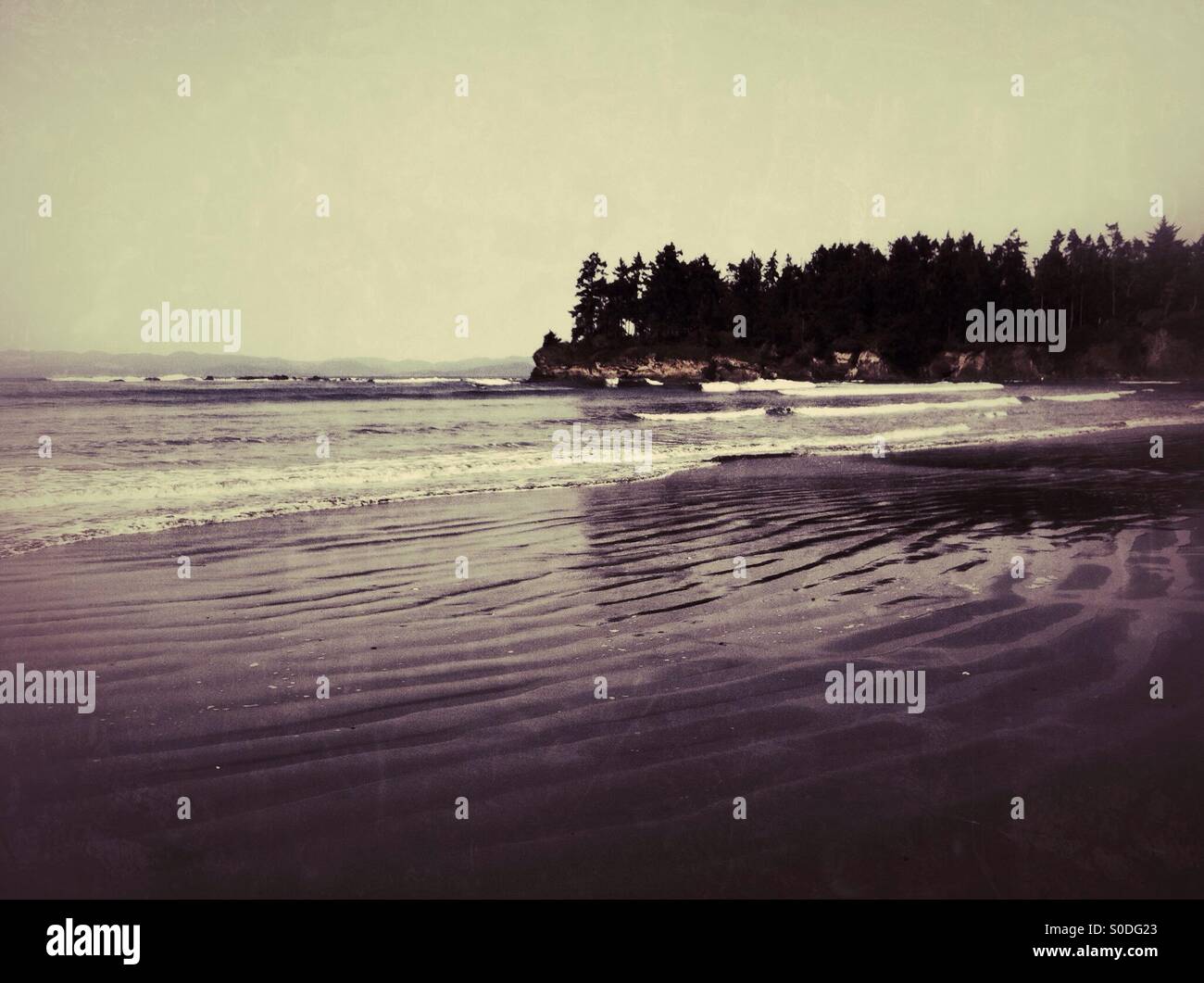 Wet Crescent beach near Port Angeles in Washington state. - Smartphone Captured Stock Image