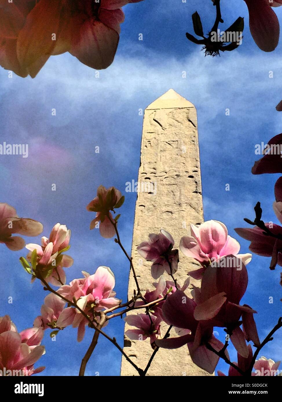 Cleopatra's Needle Obelisk in Central Park, NYC - Smartphone Captured Stock Image