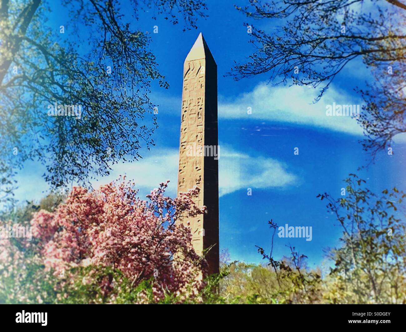 Cleopatra's Needle Obelisk, Central Park, NYC - Smartphone Captured Stock Image
