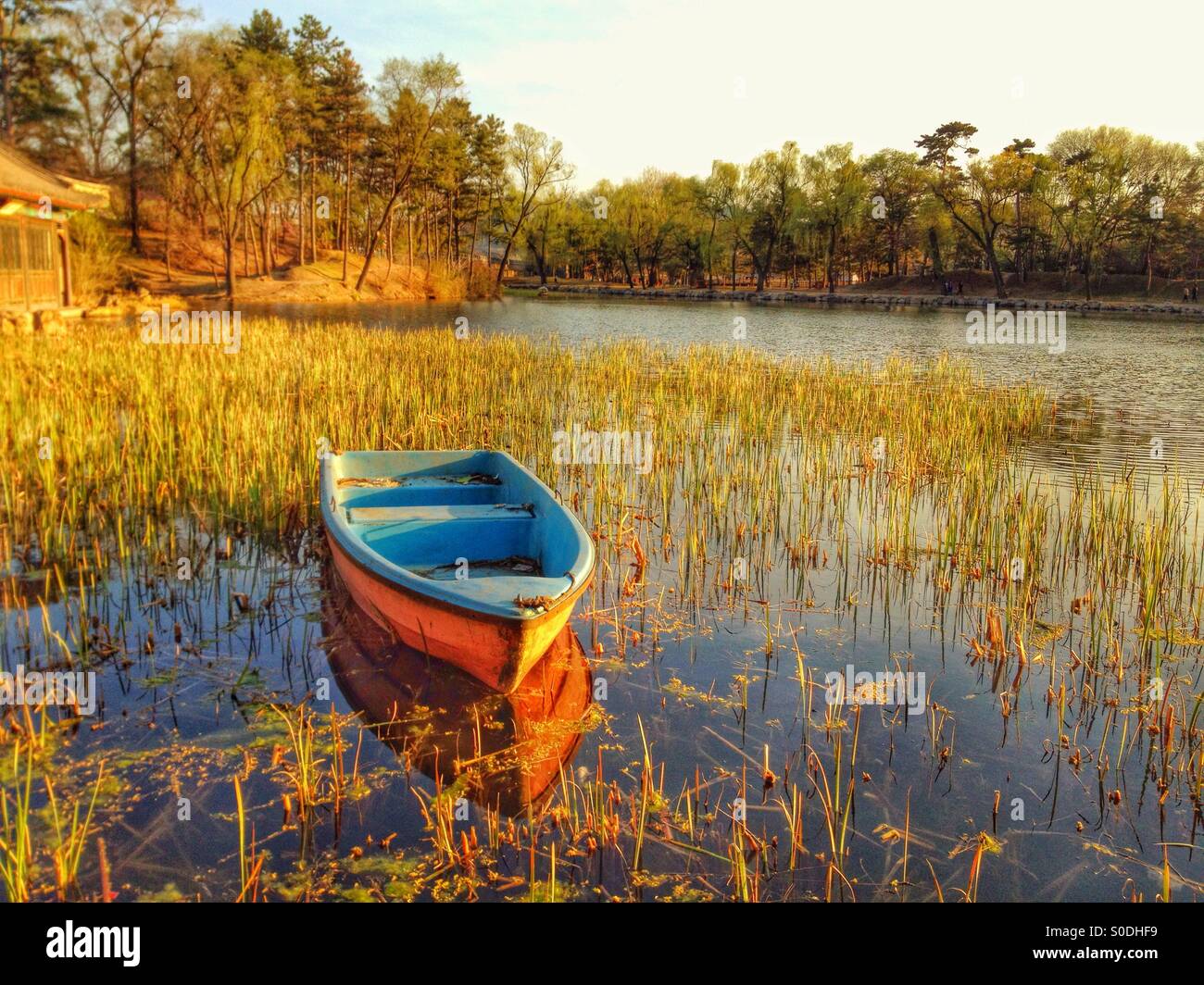 Boat on wetlands at sunset Stock Photo