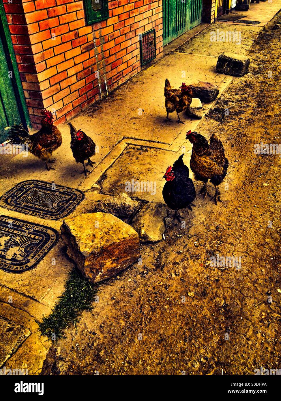 Suba, bogota, cundinamarca, Colombia, South america - Smartphone Captured Stock Image