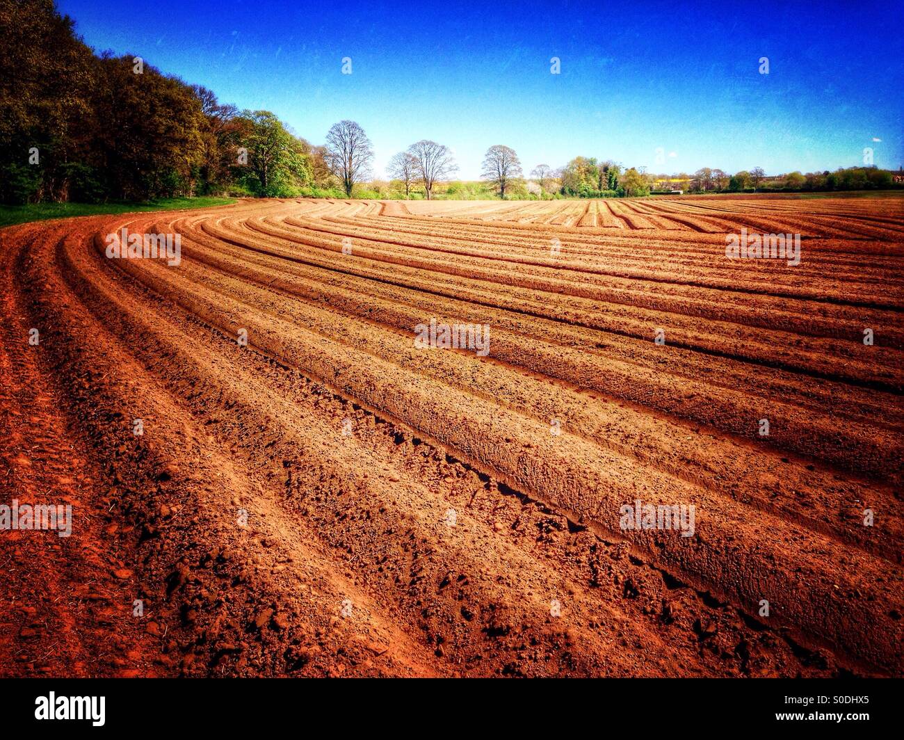 Ploughed field for growing potatoes. Ancaster, Lincolnshire, England. - Smartphone Captured Stock Image