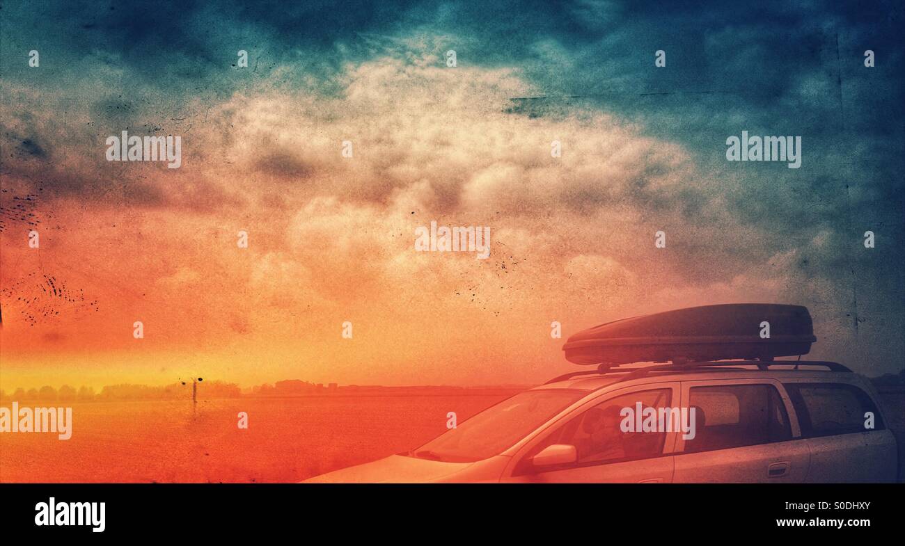 Straight to the sun - Smartphone Captured Stock Image