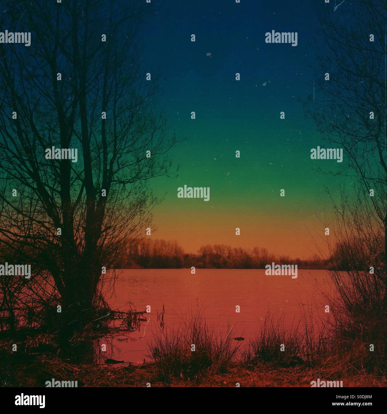Silhouetted view of lake and trees Stock Photo - Alamy