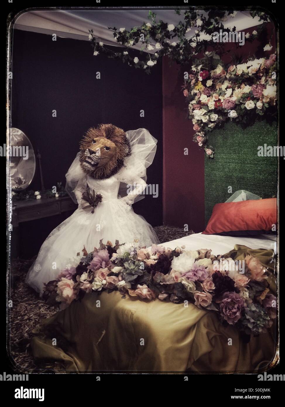 Display at lifestyle show Decorex at the Cape Town Convention Center in South Africa. - Smartphone Captured Stock Image