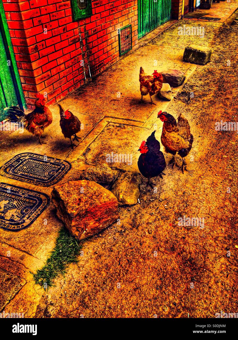 Suba, bogota, cundinamarca, Colombia, South america - Smartphone Captured Stock Image