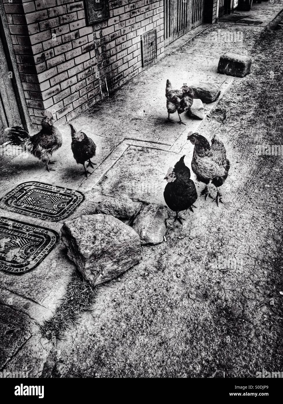 Suba, bogota, cundinamarca, Colombia, South america - Smartphone Captured Stock Image