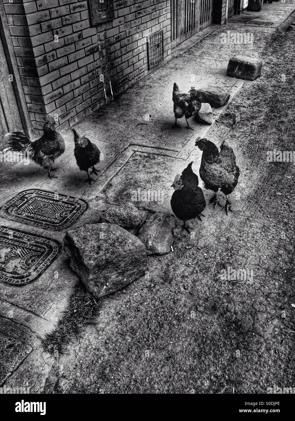 Suba, bogota, cundinamarca, Colombia, South america - Smartphone Captured Stock Image