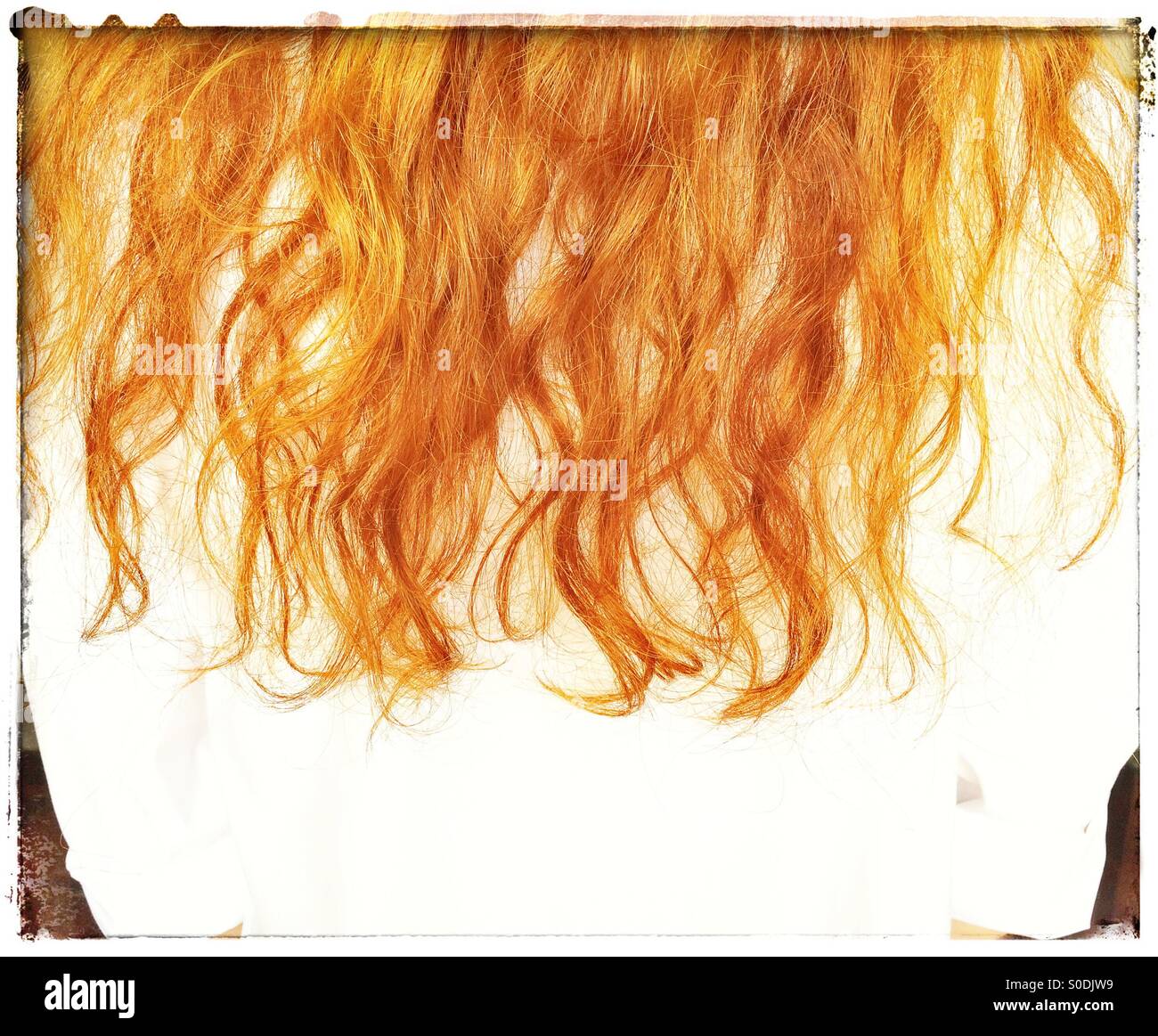 Long red hair. Stock Photo