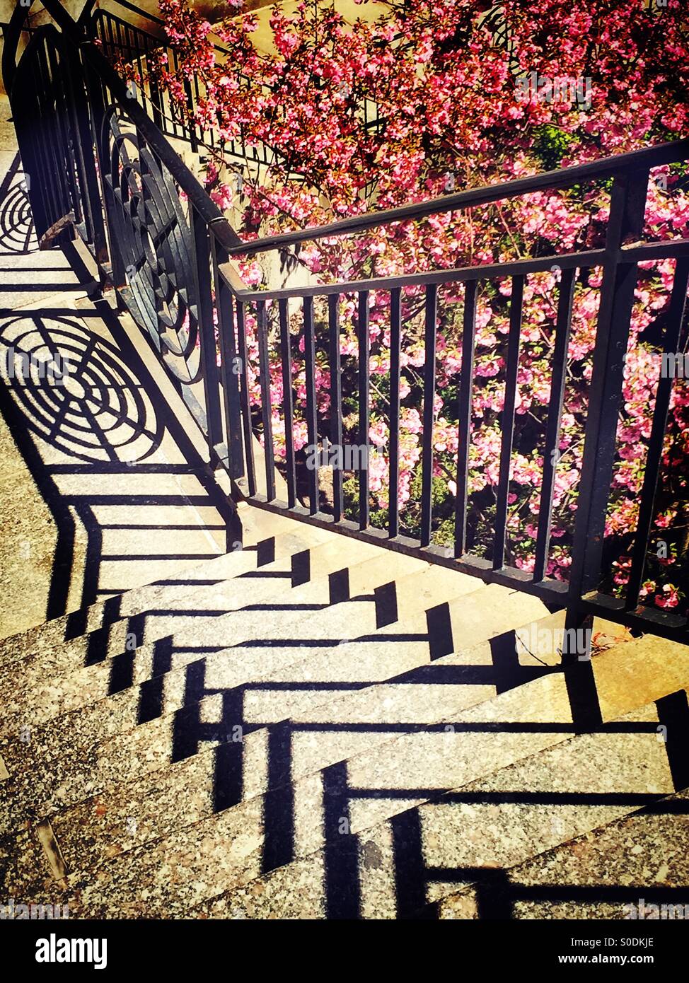 Sharansky Steps in Ralph Bunche Park, NYC - Smartphone Captured Stock Image