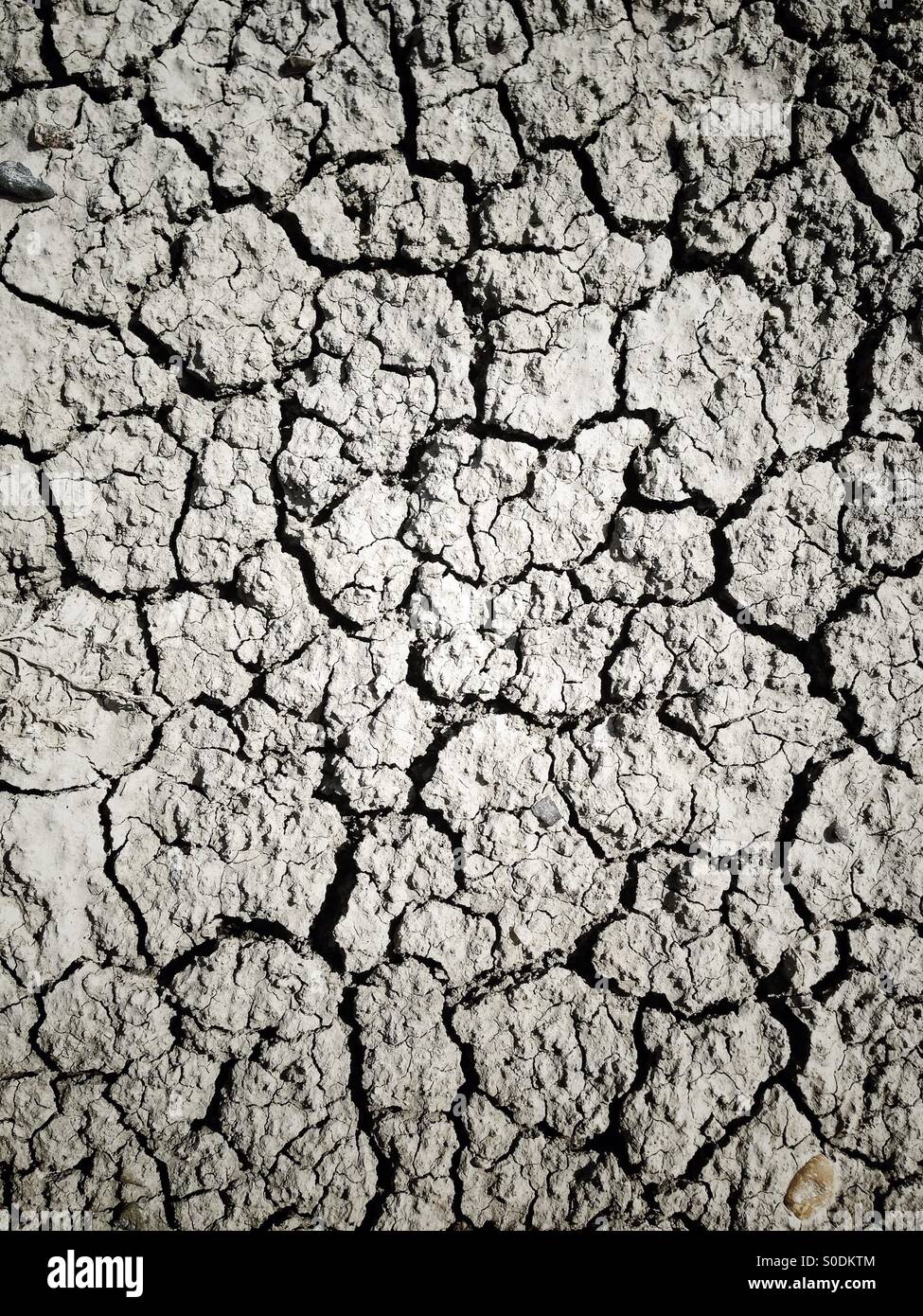 Dry, cracked earth in need of rain. Southern Alberta, Canada. - Smartphone Captured Stock Image