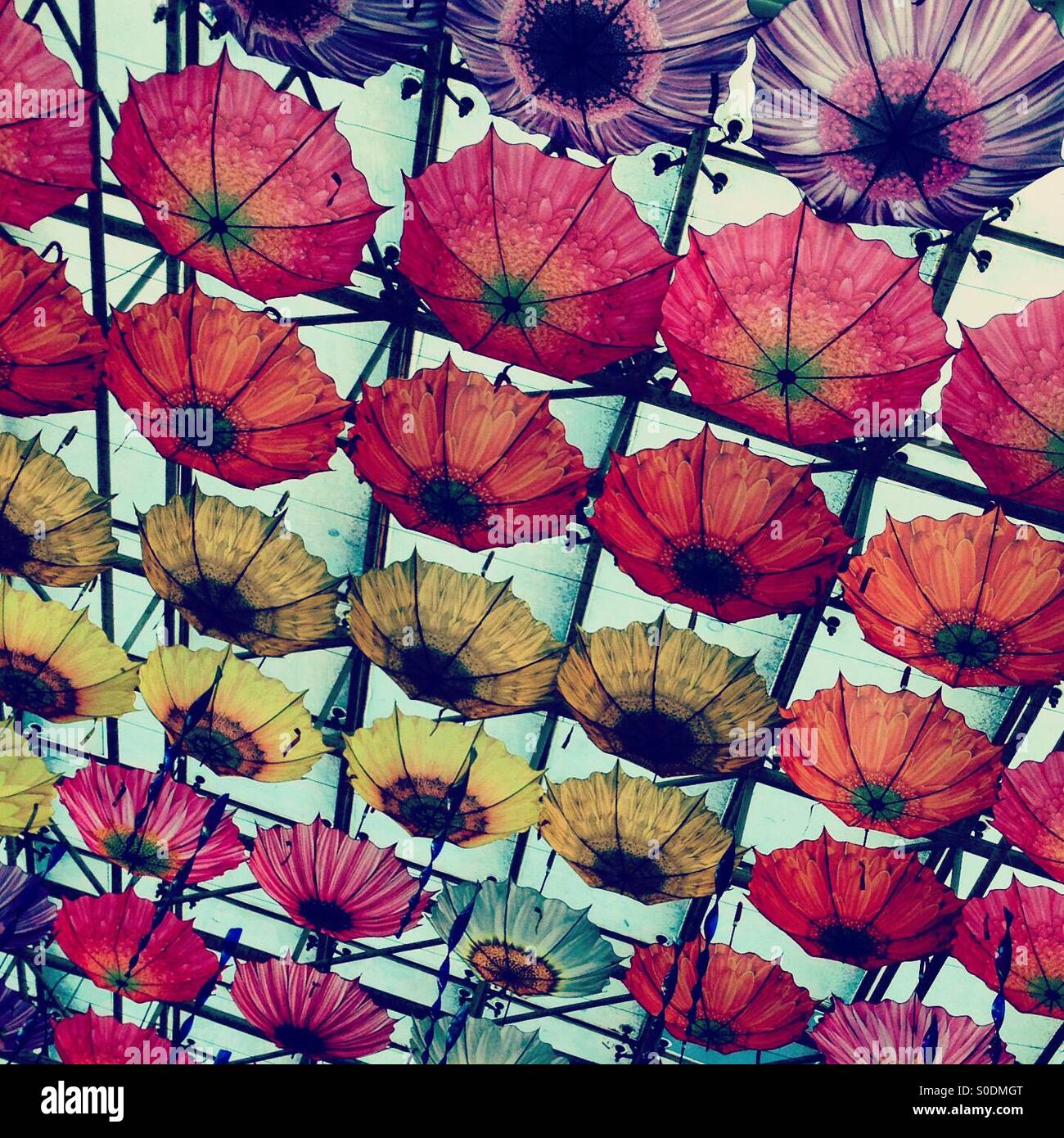 Umbrella ceiling Stock Photo Alamy