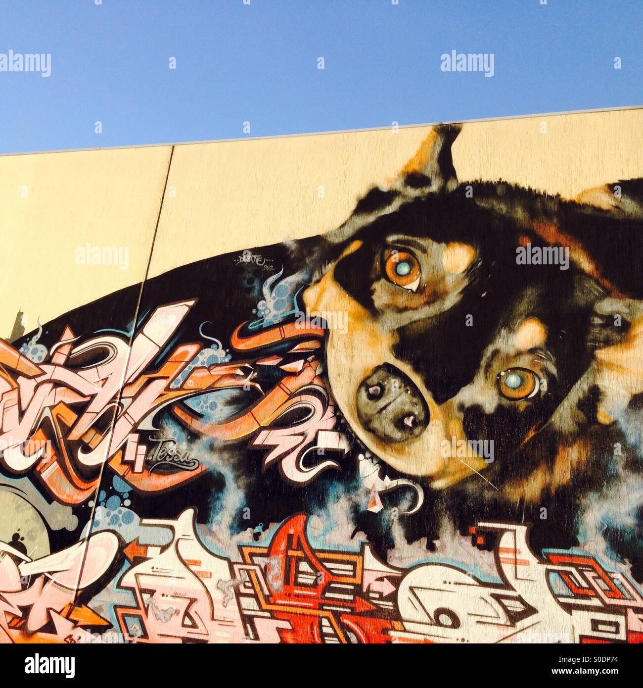 Street art of dog eating grafitti Stock Photo