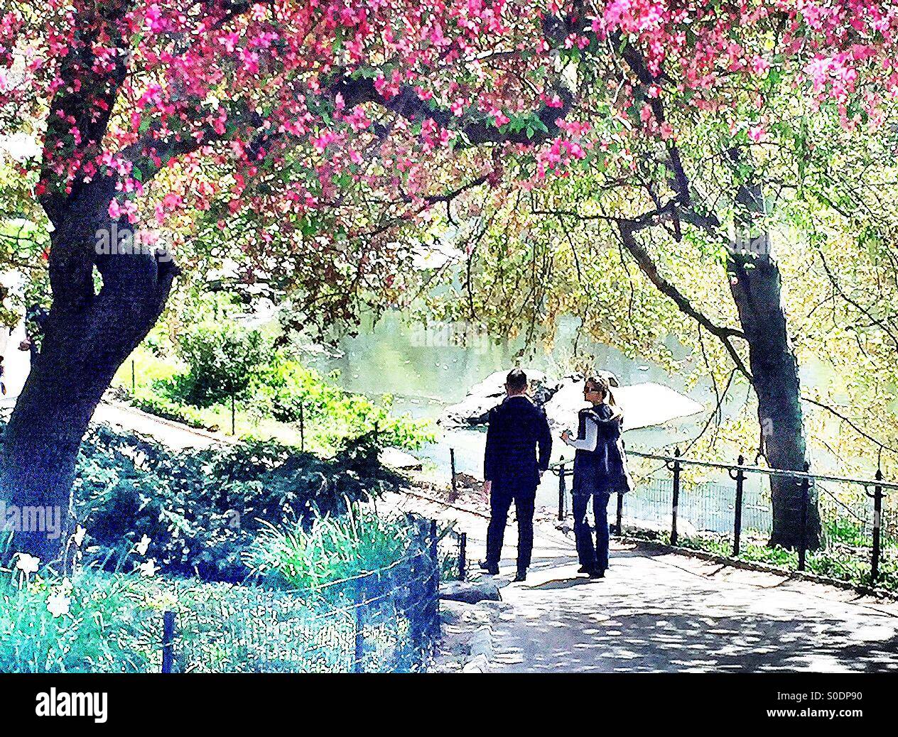 Couple enjoying Springtime in Central Park ,NYC Stock Photo - Alamy