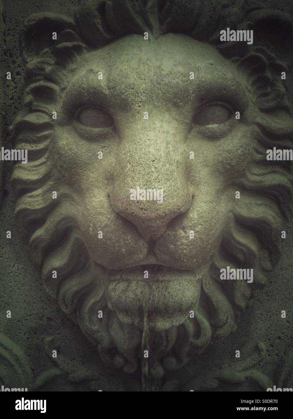 Lion head water feature Murree Pakistan - Smartphone Captured Stock Image