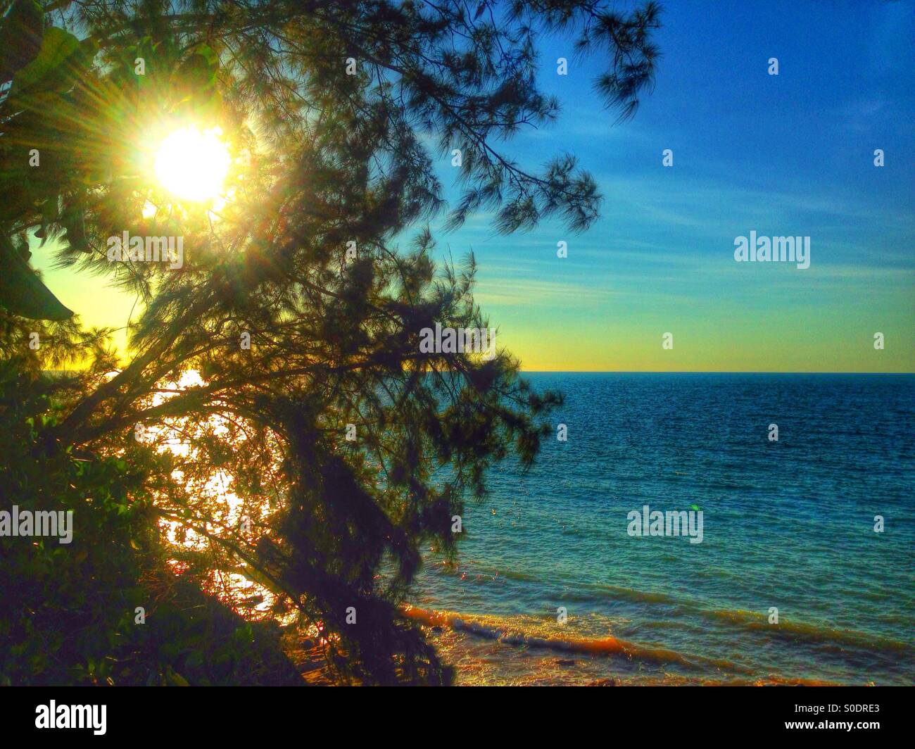 Sun through the trees and the ocean, Australia. Stock Photo