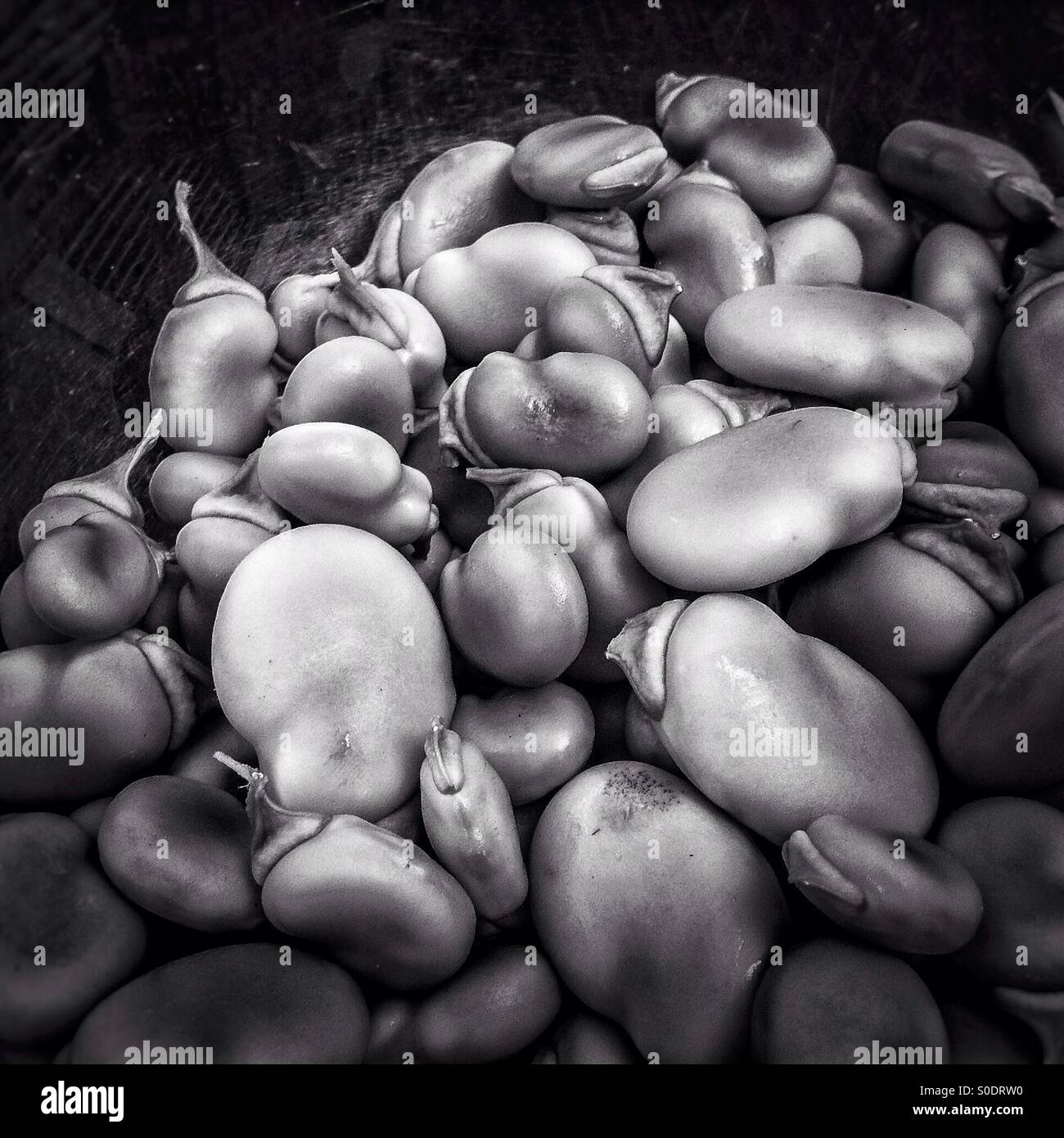 Green lima bean vegetables on black and white - Smartphone Captured Stock Image