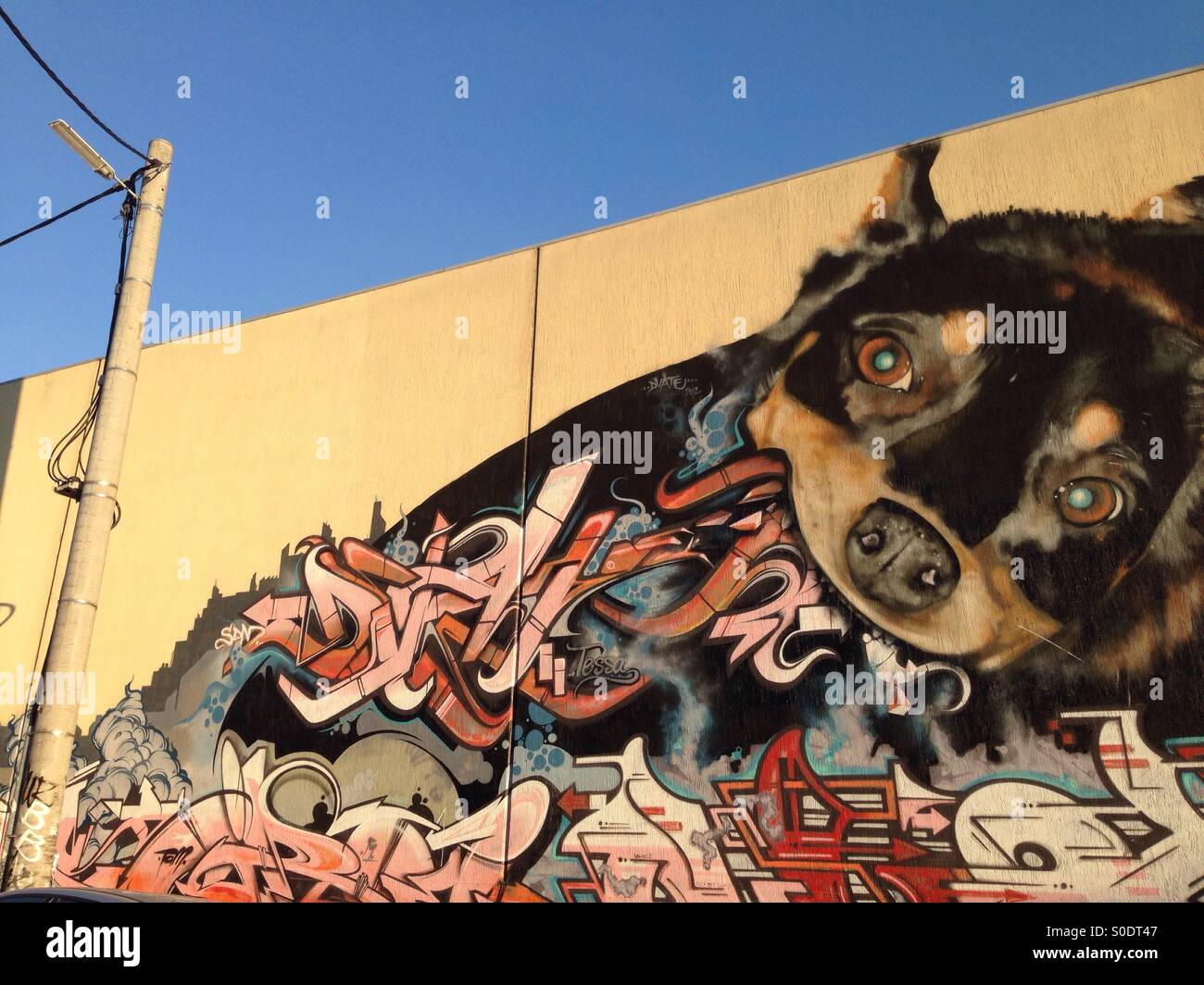 Street art graffiti of dog eating graffiti words on wall in Melbourne Stock Photo