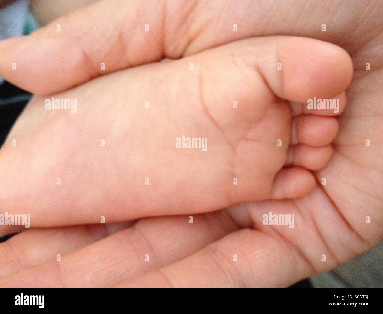 Child's foot in adult's hand Stock Photo