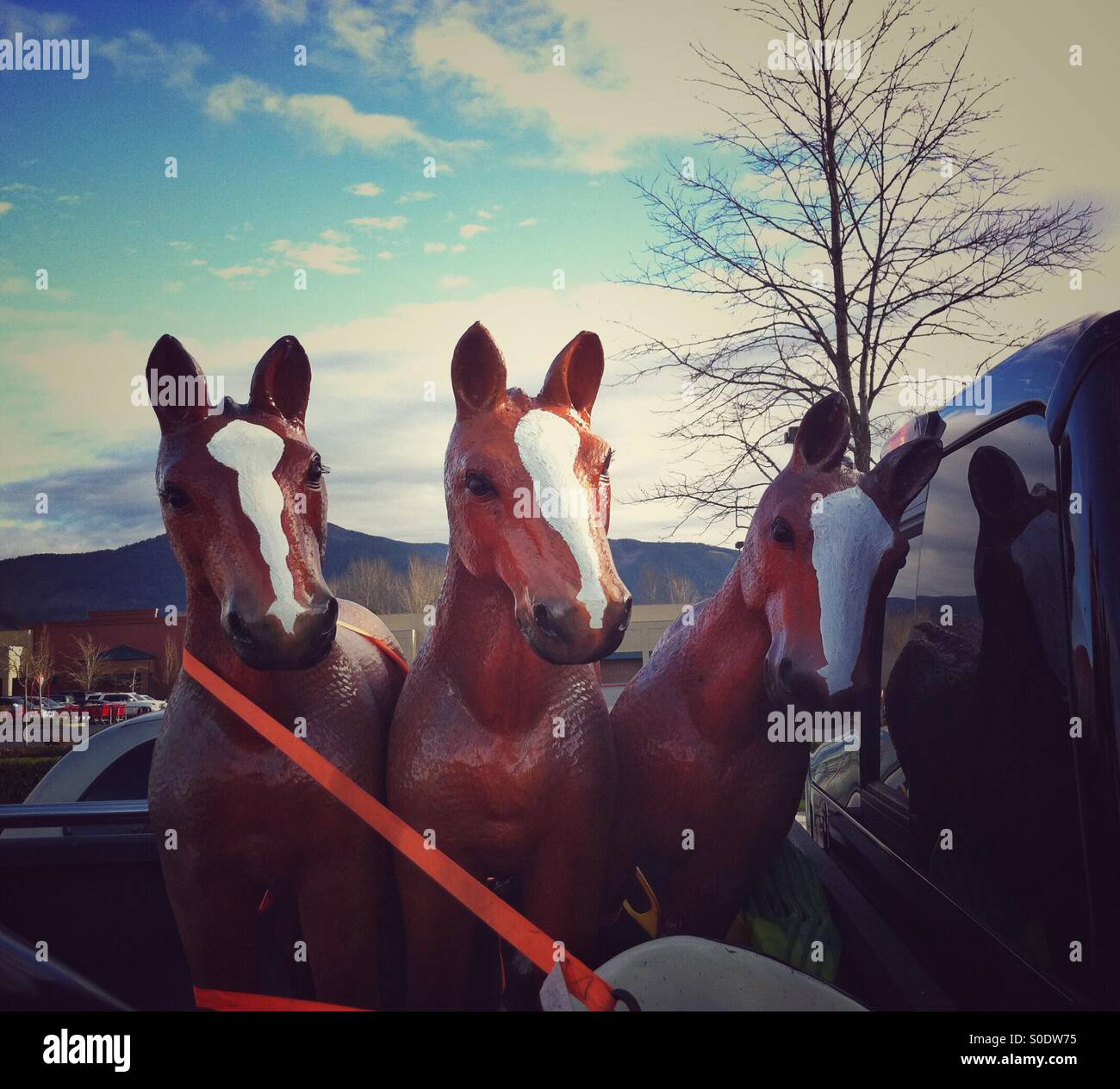 Toy horses hires stock photography and images Alamy