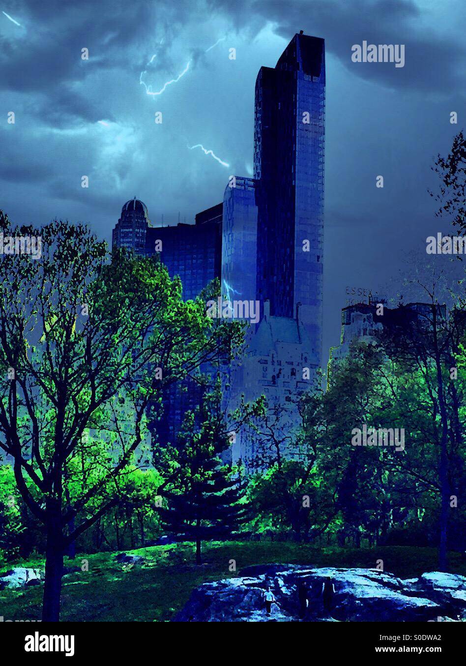 Skyscrapers from Central Park, NYC - Smartphone Captured Stock Image