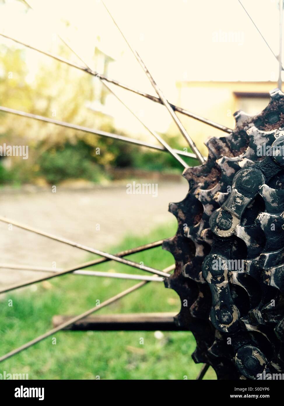 Bike gear system Stock Photo Alamy