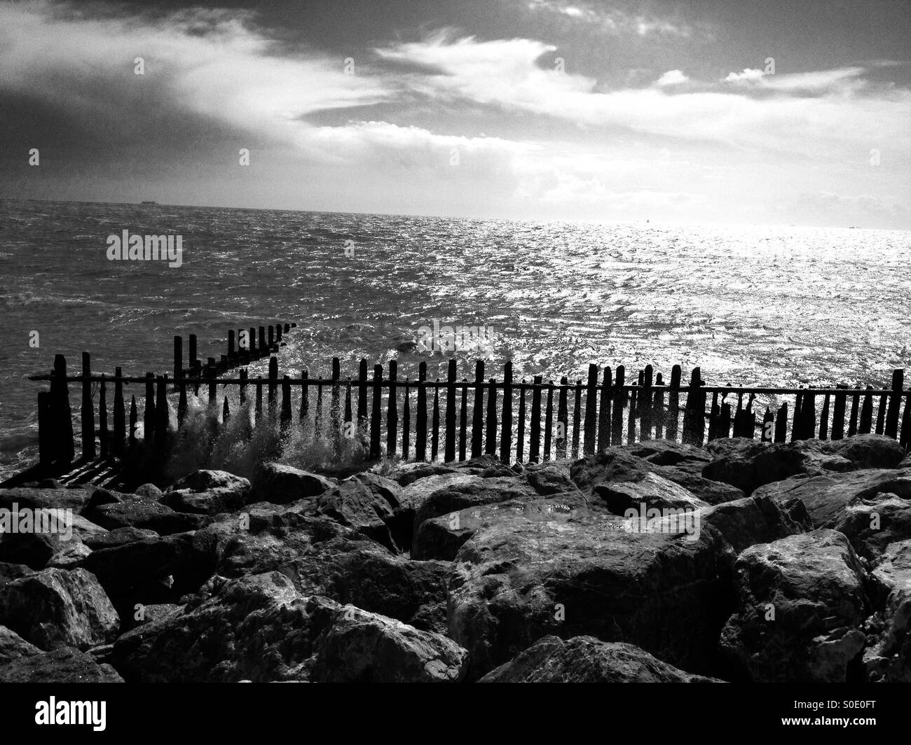 Protecting the environment Black and White Stock Photos & Images - Alamy