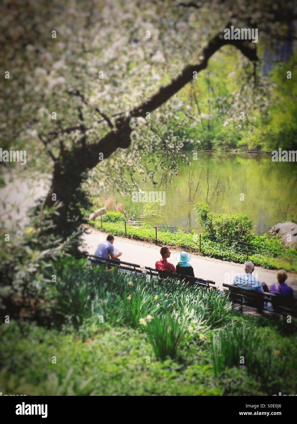 People enjoying Central Park on Spring day - Smartphone Captured Stock Image