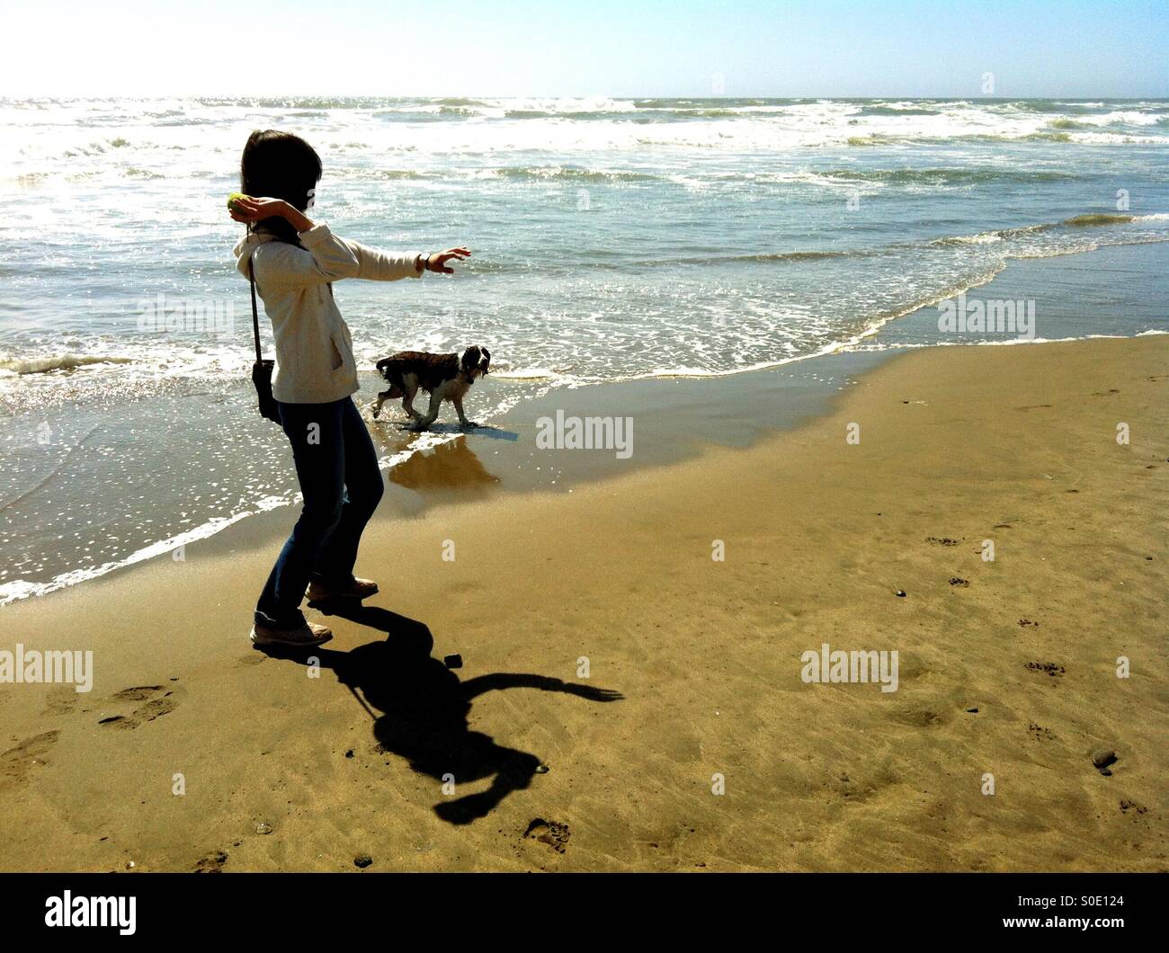 Young woman playing ball with her English Springer Spaniel at the beach - Smartphone Captured Stock Image